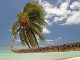 Francouzská Polynésie - ráj na Zemi